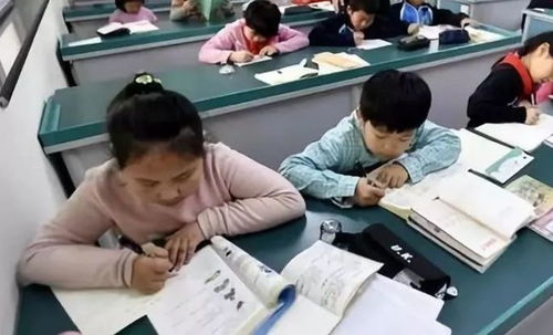 中小學(xué)課后服務(wù)全面鋪開，教育咨詢助力家長滿意度提升